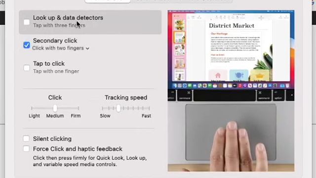 Changing Your Touchpad Options on Your New Macbook Air