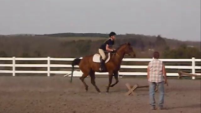 Horse Riding Lesson 4.6.10