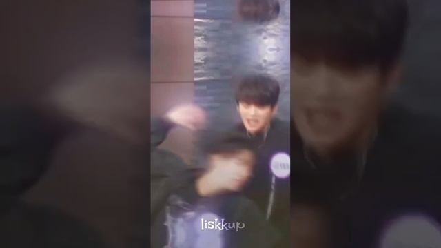 минсоны сводят меня с ума минсоны минхо джисон leeknow jisung