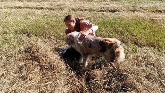 Жаркий день знаний//Работу не отменяли//Мой способ борьбы с герпесом//