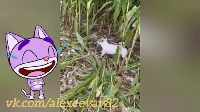 YouCut_20231129_204526444.mp4