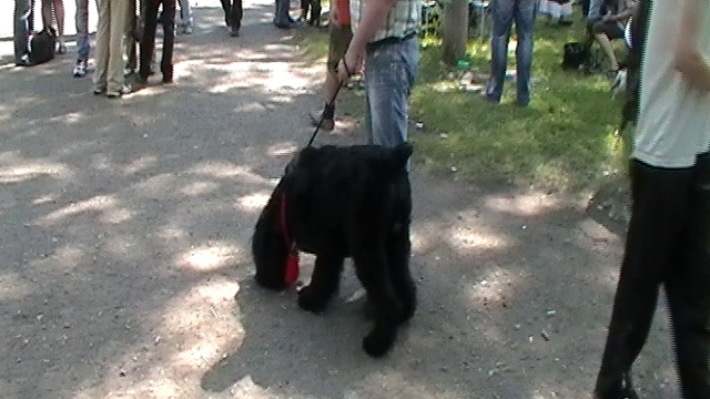 20100508_111331