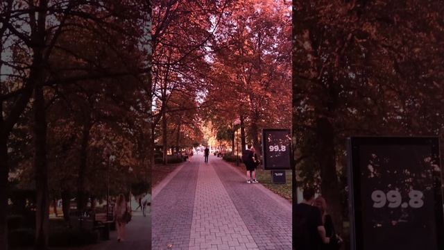 Что будет если