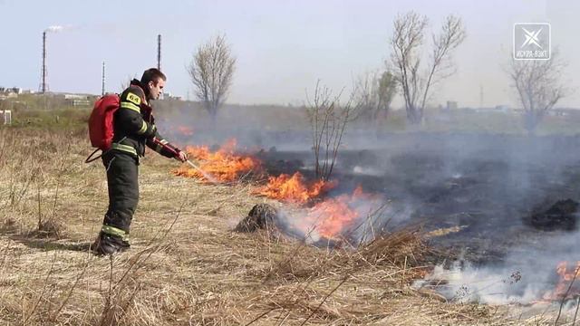 Неконтролируемый пал сухой травы может привести к печальным последствиям, напоминают пожарные