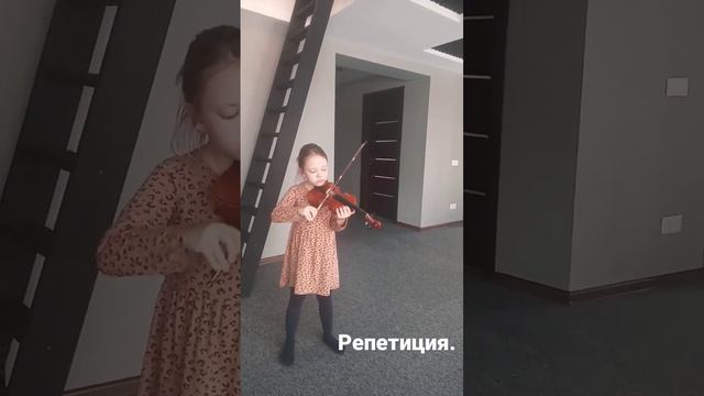 Будни аристократки😀#скрипка #скрипачка #белка #девочка