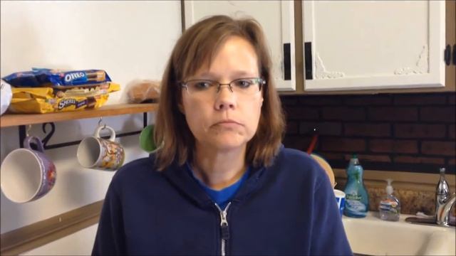 Skinny Cow: Chocolate Raspberry Candy Bar Food Review