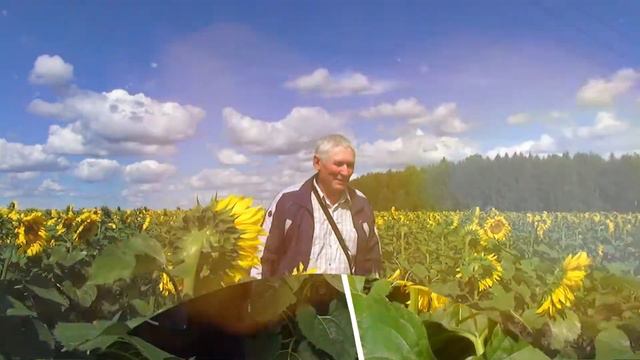 Радуйся новому дню.