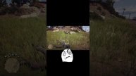 Red Dead Redemption 2 какая скотина