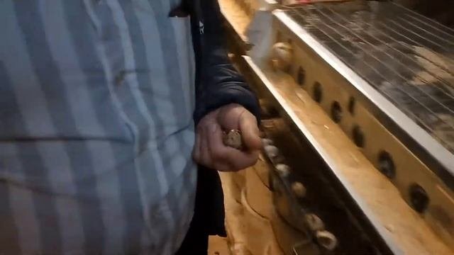 Перепелки, Эстония, бизнес в подвале. Часть 4
