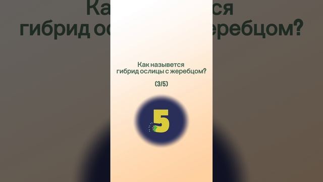 Викторина! Попробуй ответить на 5 вопросов!