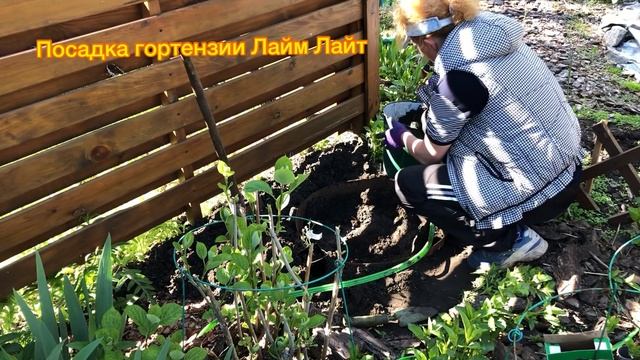 Красивый сад.Огород.Мои ПОДАРКИ.Готовлю огород к посадке овощных культур.Чудеса  в ПОДАРКЕ.Экзотика