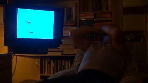 Beethoven "Pastoral" Symphony - 5th Movement covered with Harmonica in the key of F-major.