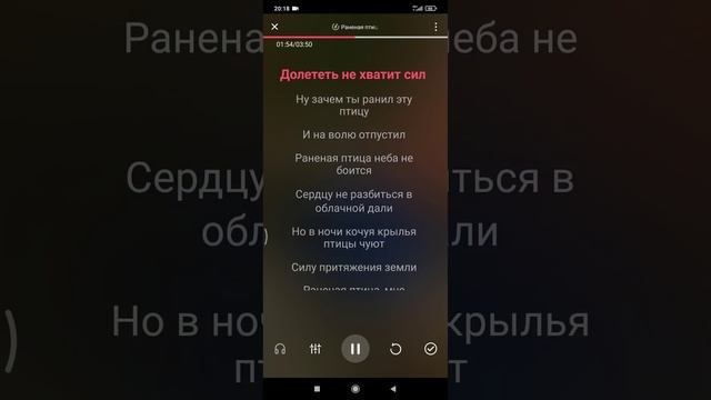 Караоке - Раненая птица Диана Гурская