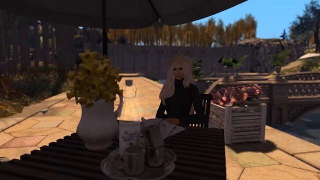 Как чистить мебель из стекла и дерева. Second Life или виртуальная реальность.