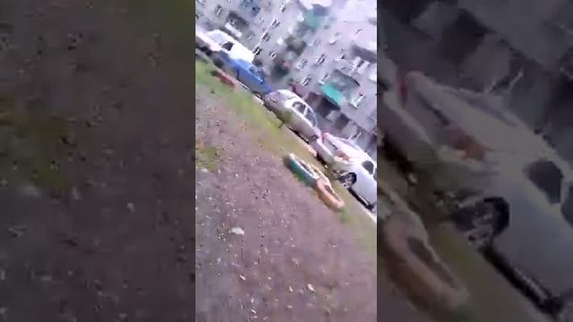 Побег от бешеной собаки #2