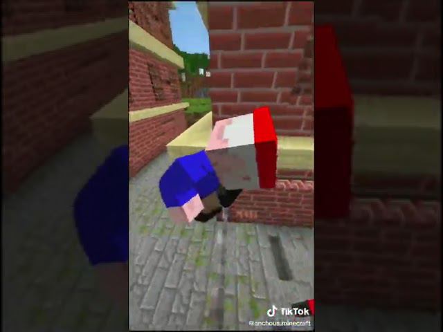 MINECRAFT MEME ❤ SUBSCRIBE