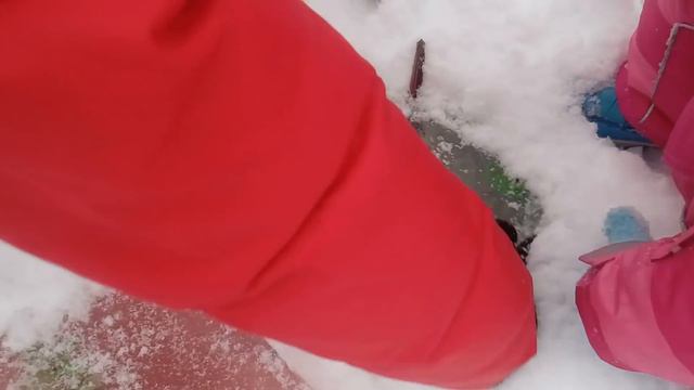 Раскопки динозавров, Часть1. Нашли динозавров во льду.