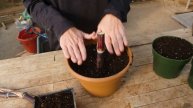 How to Propagate Plants on the Best of Oklahoma Gardening (#4727)