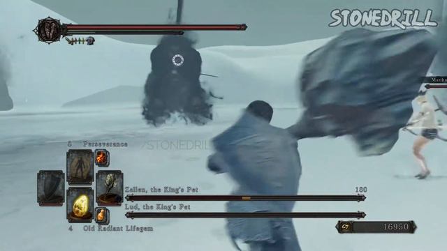 DARK SOULS II  How to kill Lud and Zallen, The King's Pets - DS2 Guide