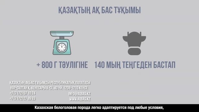 Урок 40. Мясное животноводство   40 сабақ. Етті мал шаруашылығы