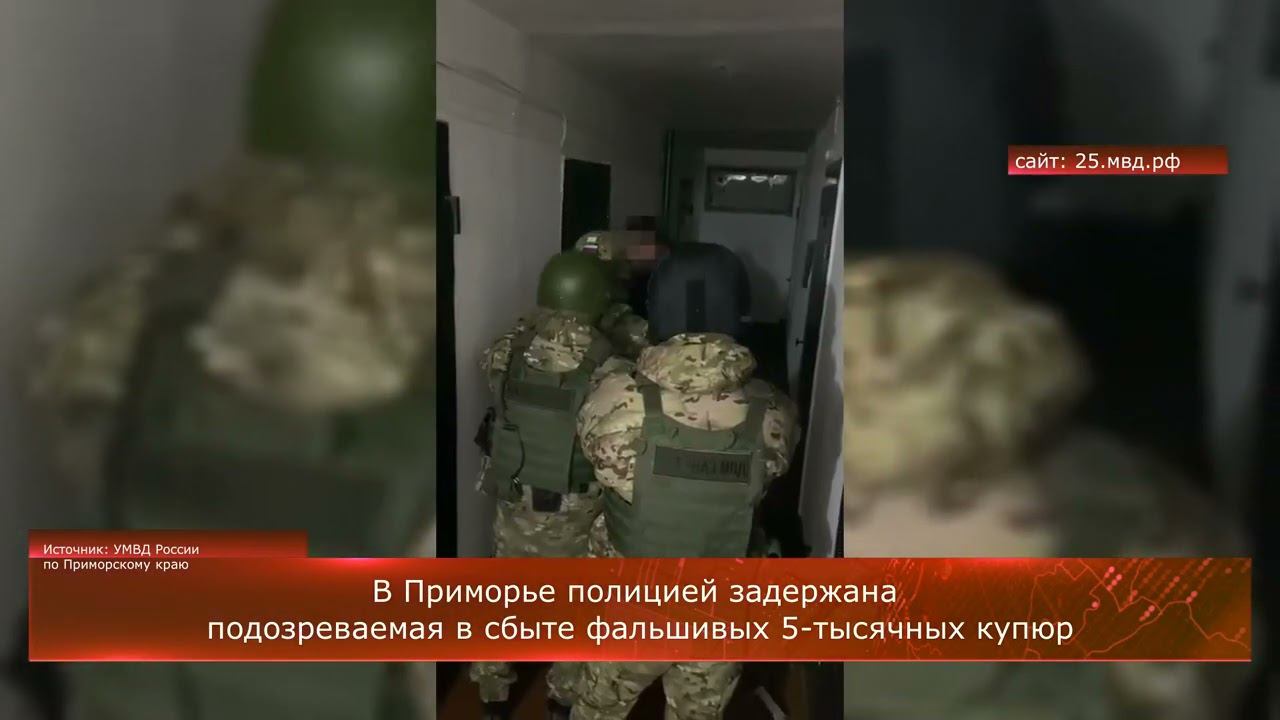 В Приморье полицией задержана подозреваемая в сбыте фальшивых 5-тысячных купюр