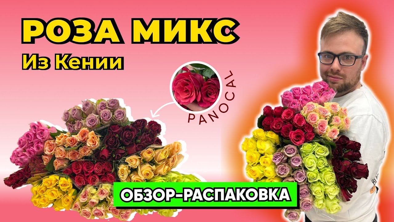 ОБЗОР-РАСПАКОВКА: роза микс из Кении