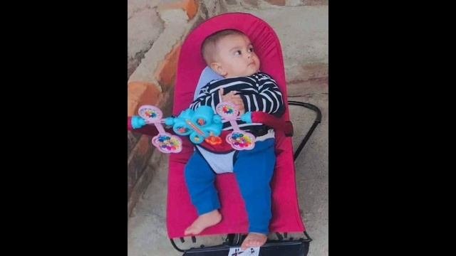 Baby Bouncer Chair
