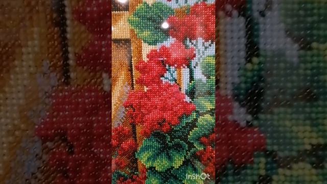 petal_20230908_102630.mp4