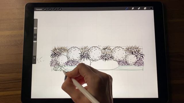 18 день челленджа. Рисуем план для цветника. Программа Procreate