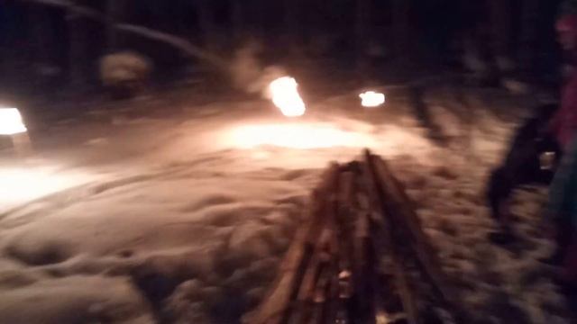 Новогодняя ночь в лесу