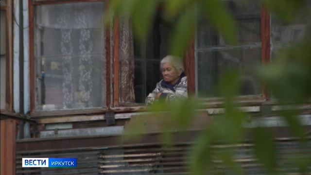 Горностаевая моль в Иркутске захватывает целые дворы. Кто должен с ней бороться
