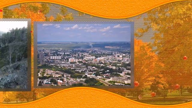Зверобой