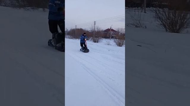 #мотосноуборд #мотособака