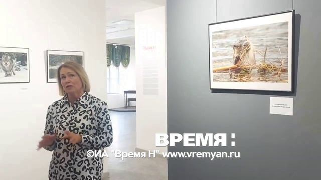 Выставка «Соседи по планете» (животный мир Беларуси) открылась в Русском музее фотографии