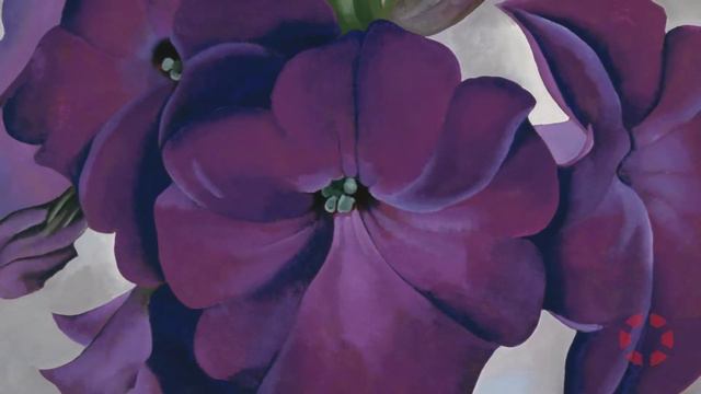 A Minute with Colin B. Bailey on Georgia O' Keeffe's Petunias