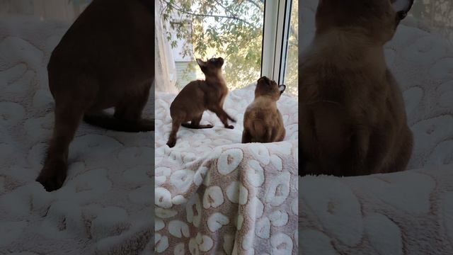 1000009171.mp4