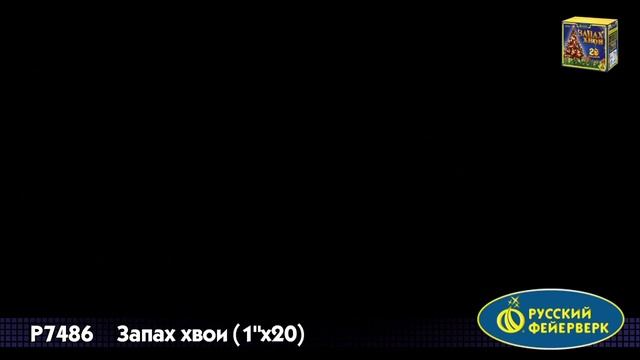 Салют Запах хвои 20 залпов