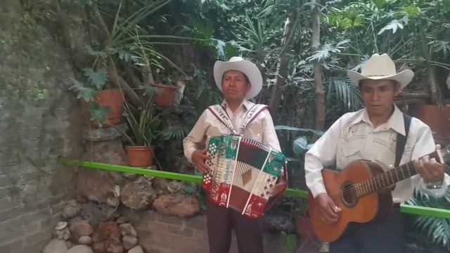 grupo furia norteña /vestido de color de rosa