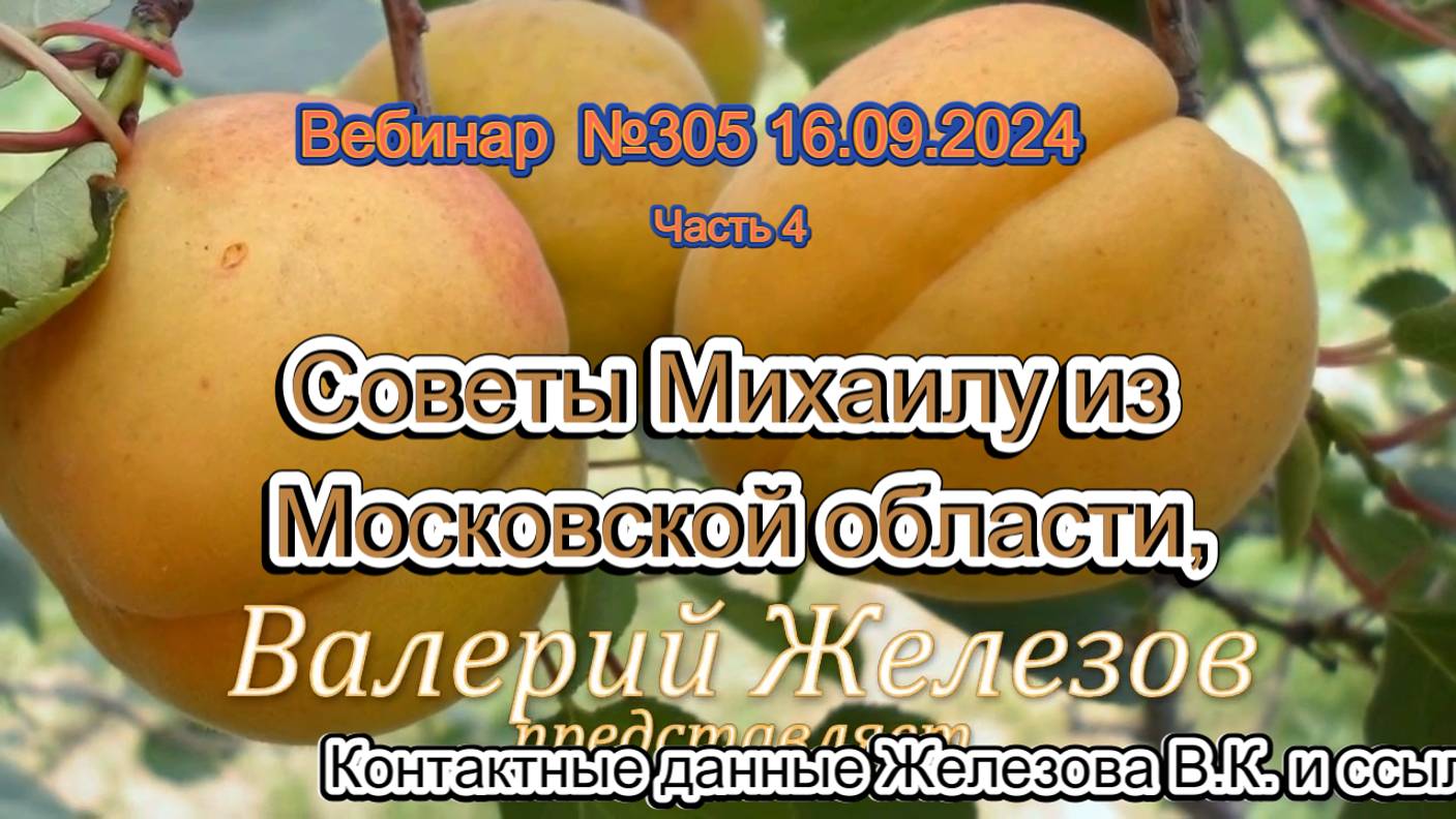 Железов Валерий. Вебинар 305. ч.4. Советы Михаилу из Московской области,