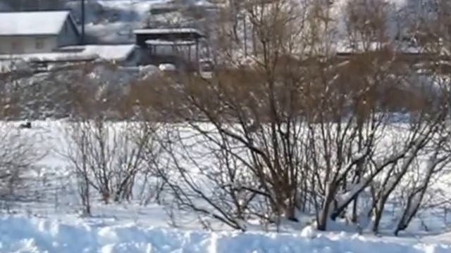 Картинг 08.02.14 "Свободный"