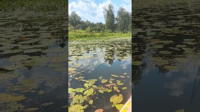 Речка Уводь.