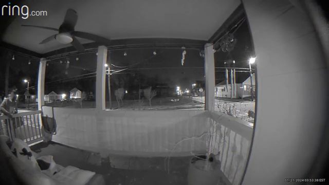 Scary TRUE Videos From Around The Internet Caught on Doorbell Cameras