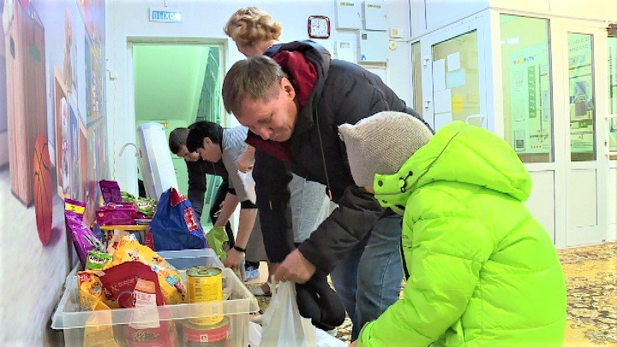 Детсадовцы Нижневартовска собрали корм для бездомных животных