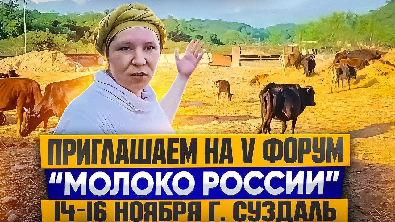 КРМЗ изучает опыт молочного животноводства Индии и делится знаниями и технологией «Сенаж в линию».