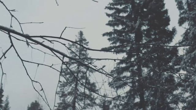 Dasha German / knovyuhov слова Оли Сычевой