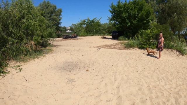 Субботник в Киеве, на оболонском пляже. Почистили песок от битого стекла, гвоздей, убрали кусты.