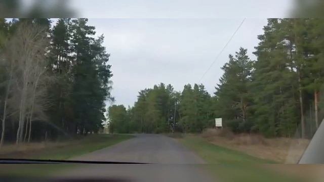 Сосновый бор ??? база отдыха, лечебный санаторий в Казахстане.Vlog 22. Свежий воздух, лес, природа.