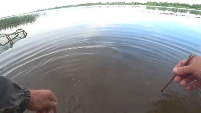 Рыбалка на фидер донки отдых на природе.