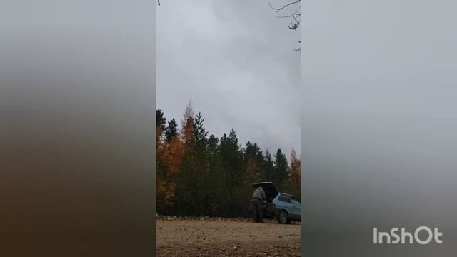 на осеннего изюбря