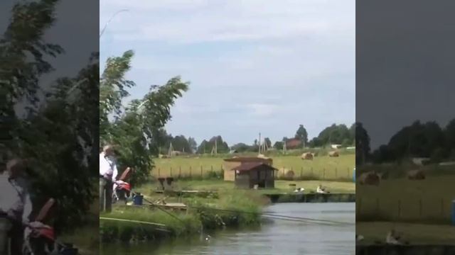 Ловля карпа в КРХ Парамоново